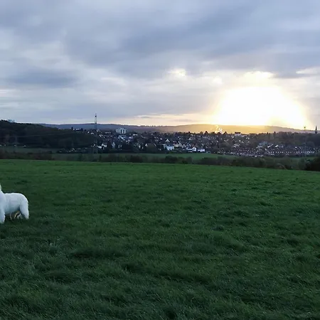 Gruene Oase * Bochum