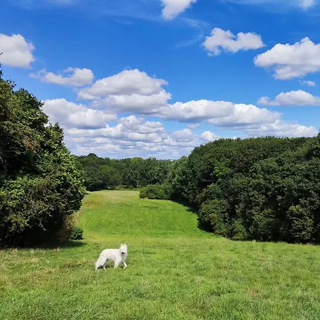 Apartman Gruene Oase Bochum