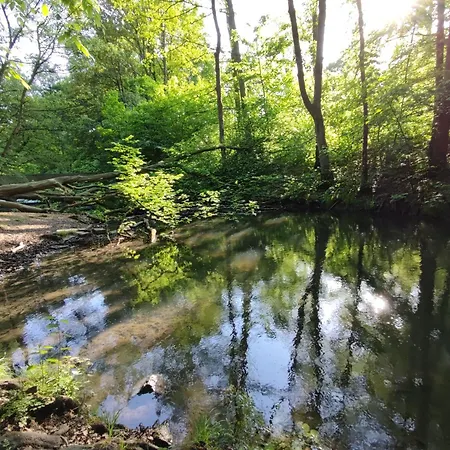 Gruene Oase Apartman *