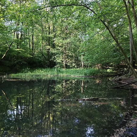 Gruene Oase Appartement