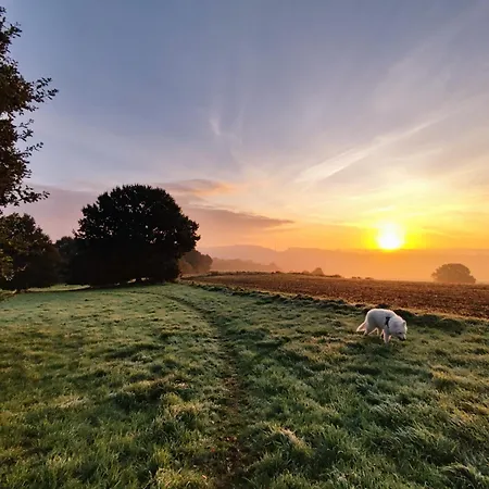 Apartman Gruene Oase *