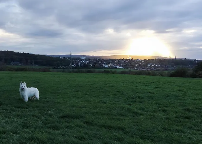 Gruene Oase * Bochum