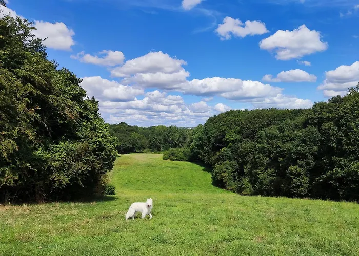 Appartement Gruene Oase Bochum