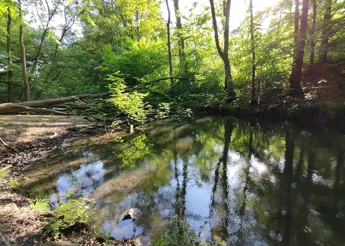 Gruene Oase Appartement *