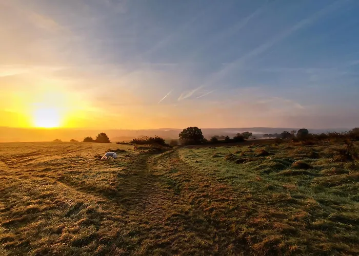 Gruene Oase Appartement