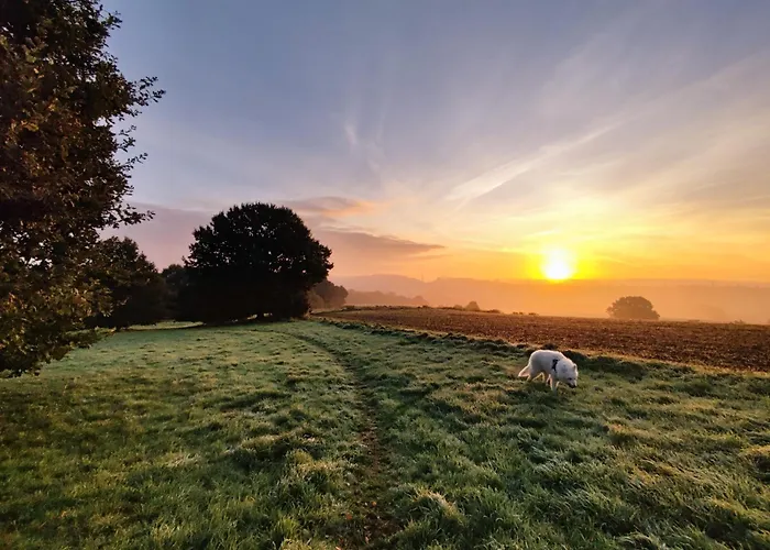 Appartement Gruene Oase *